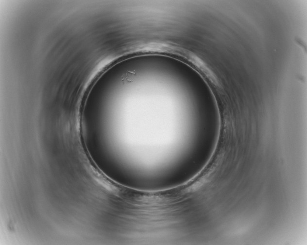 X0000099401232200805081527