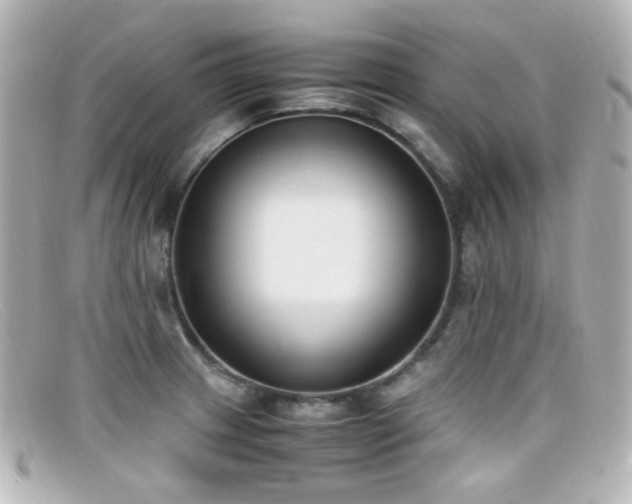 X0000099401233200805081527