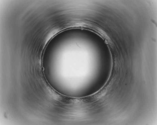 X0000099401234200805081527