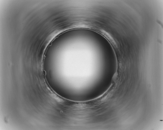 X0000099401236200805081527