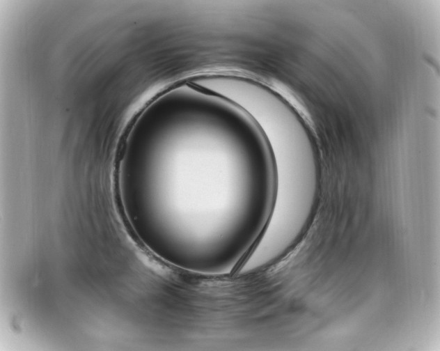 X0000099401237200805081527