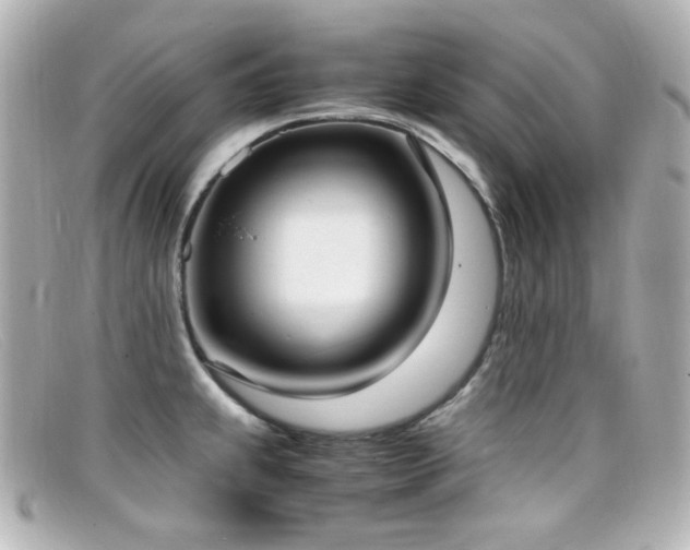 X0000099401239200805081527