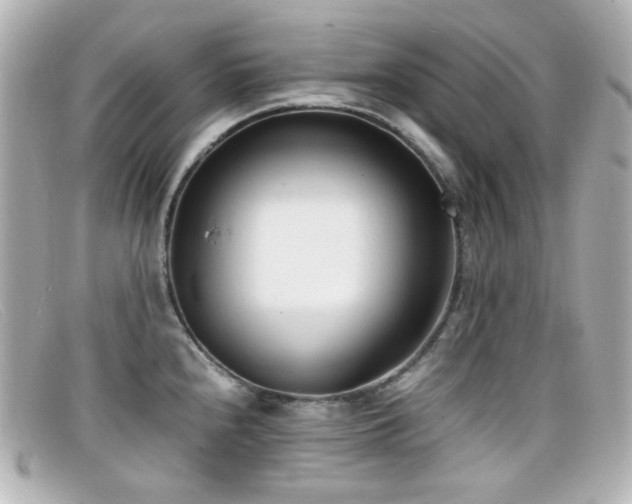X0000099401240200805081527