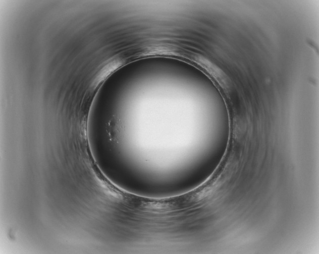 X0000099401241200805081527