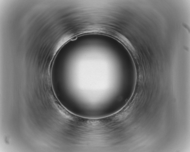 X0000099401242200805081527