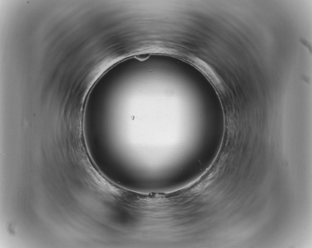X0000099401244200805081527
