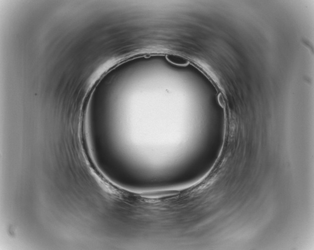 X0000099401245200805081527