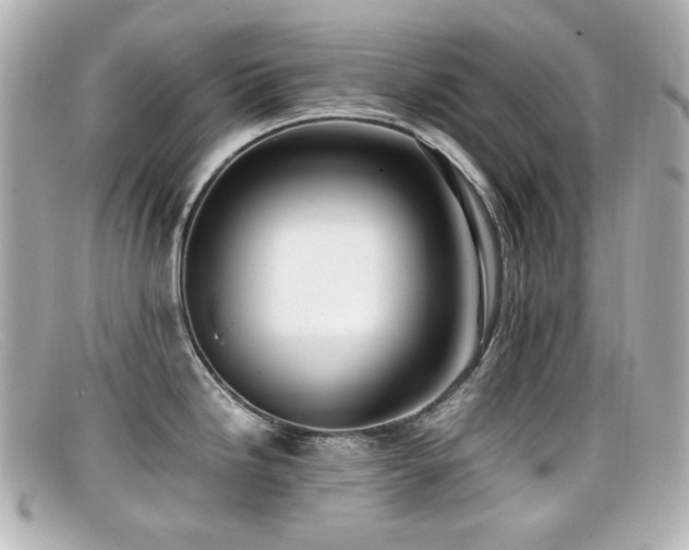 X0000099401246200805081527