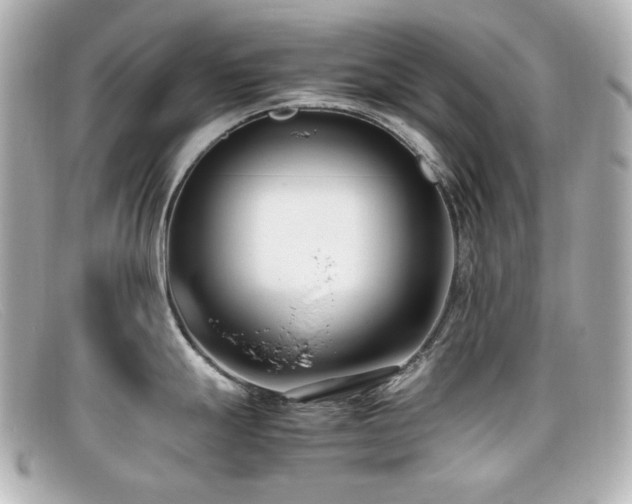 X0000099401247200805081527
