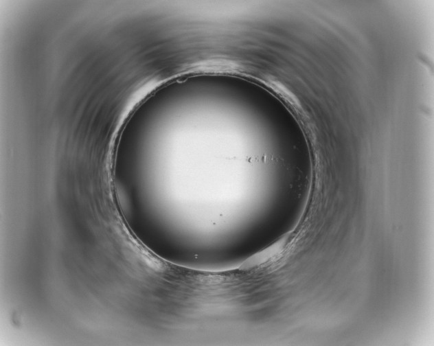 X0000099401248200805081527