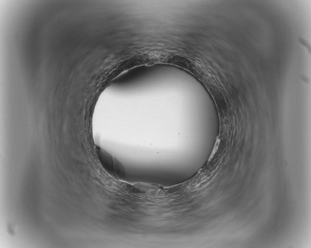 X0000099401249200805081526