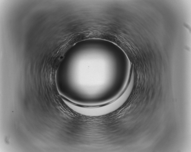 X0000099401250200805081526