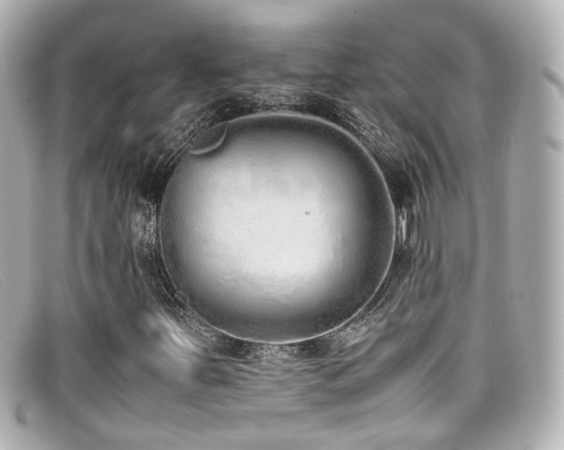 X0000099401251200805081526
