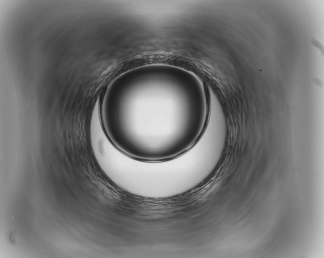 X0000099401252200805081526