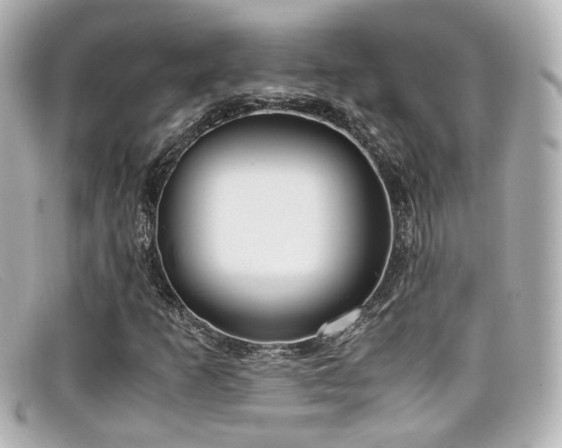 X0000099401253200805081526