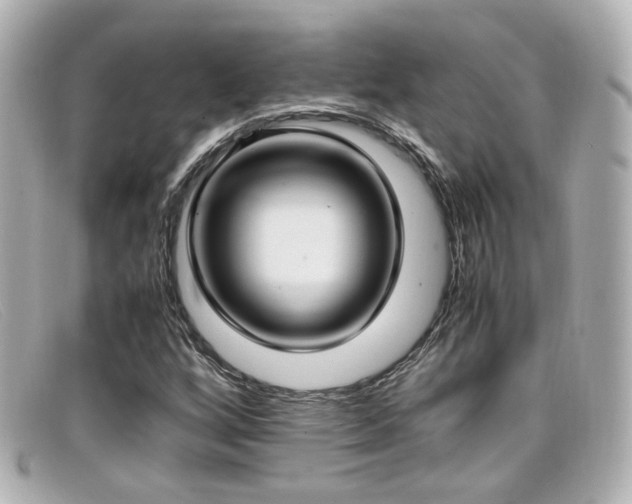 X0000099401256200805081526