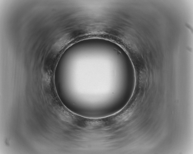 X0000099401257200805081526