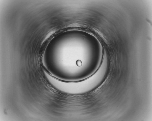X0000099401258200805081526