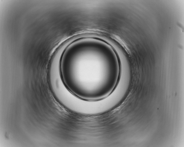 X0000099401260200805081526