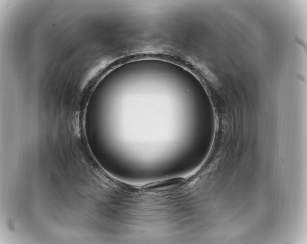 X0000099401262200805081526
