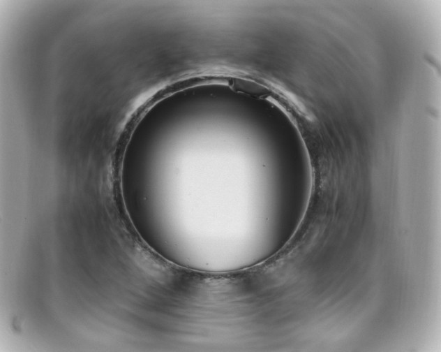 X0000099401264200805081526