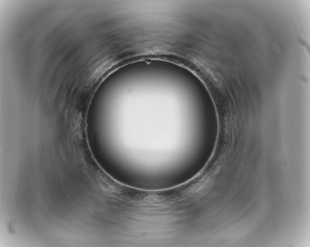 X0000099401265200805081526