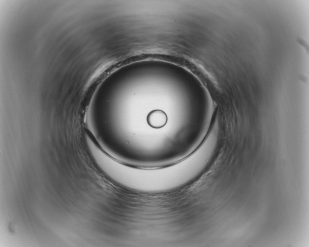 X0000099401266200805081526