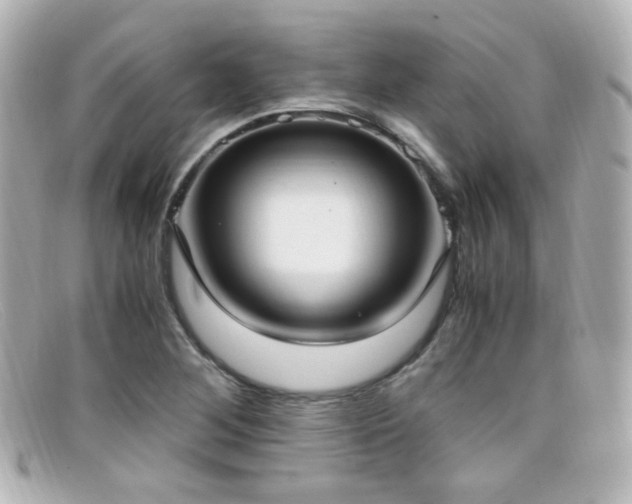 X0000099401268200805081526
