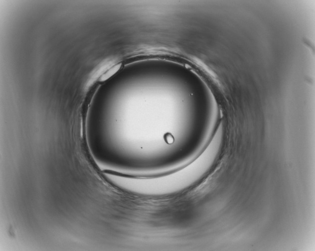 X0000099401269200805081526