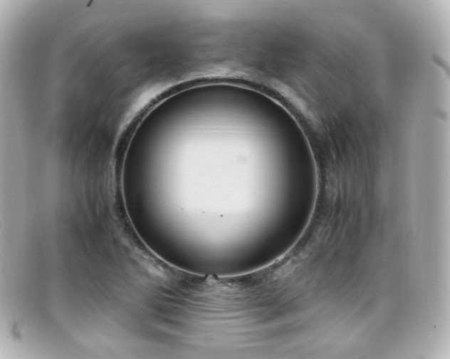 X0000099401270200805081526