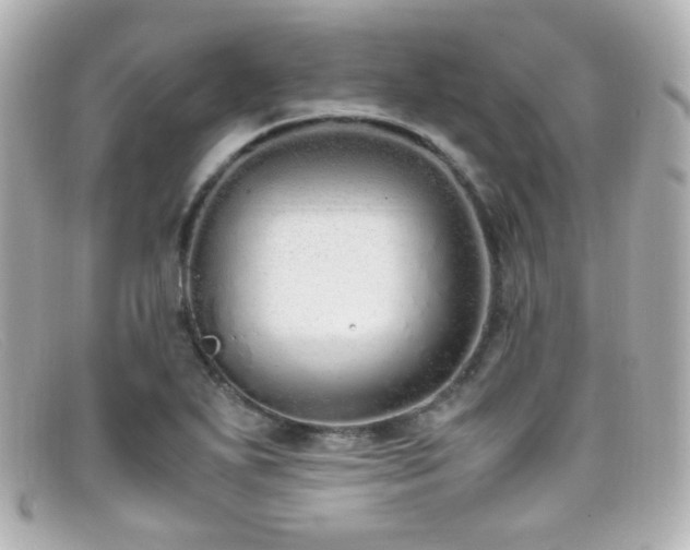 X0000099401271200805081526