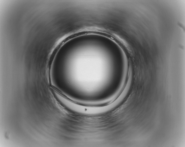 X0000099401272200805081526