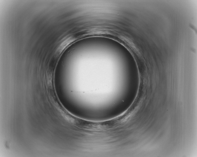 X0000099401273200805081526