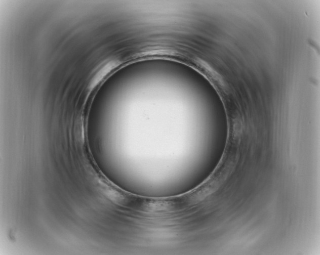 X0000099401274200805081526