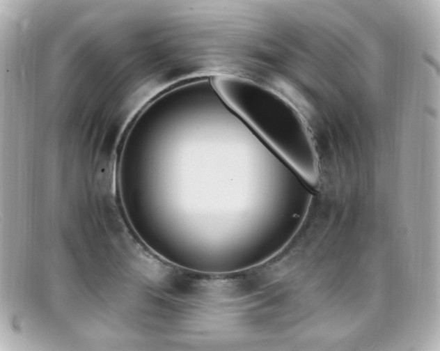 X0000099401276200805081526