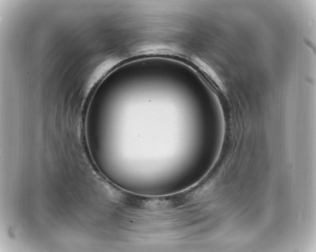 X0000099401277200805081526