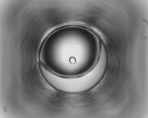 X0000099401280200805081526