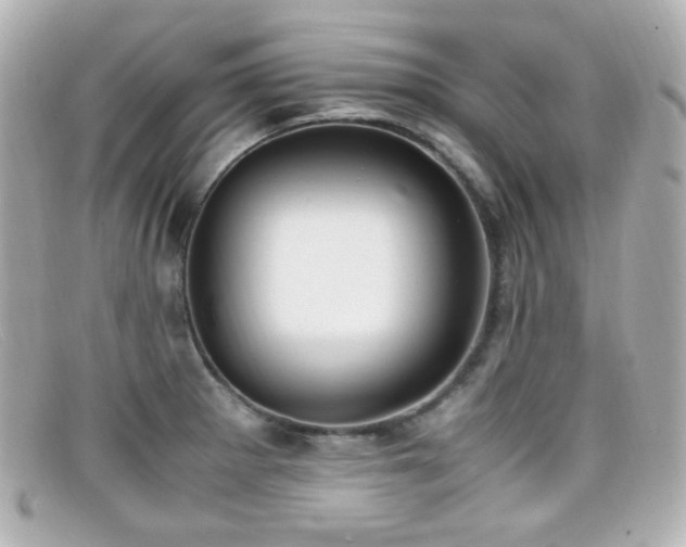X0000099401281200805081526