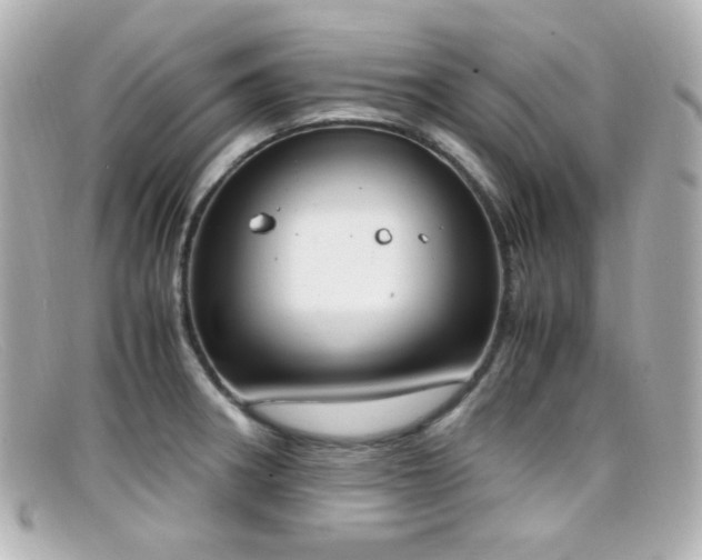 X0000099401282200805081526