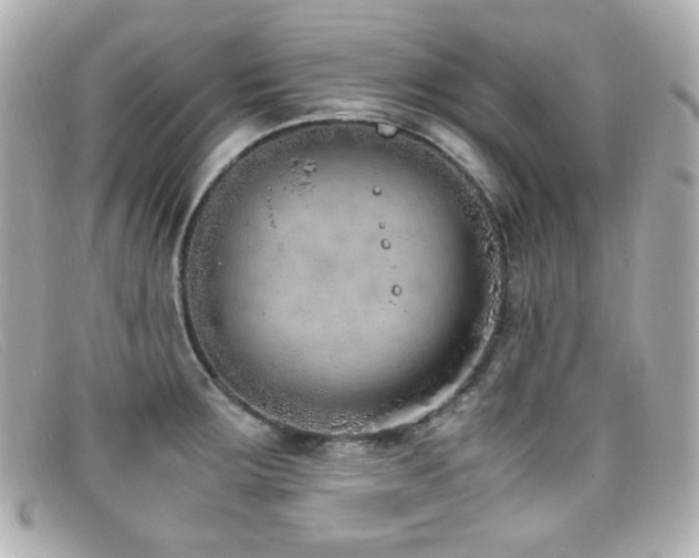 X0000099401283200805081526