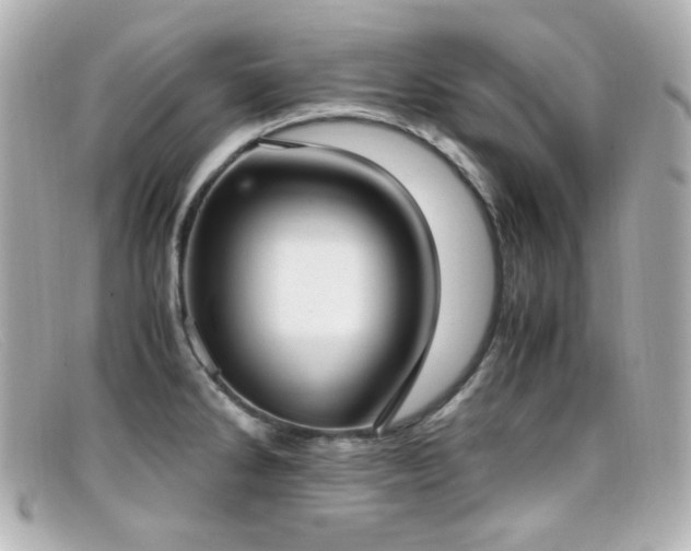 X0000099401286200805081526