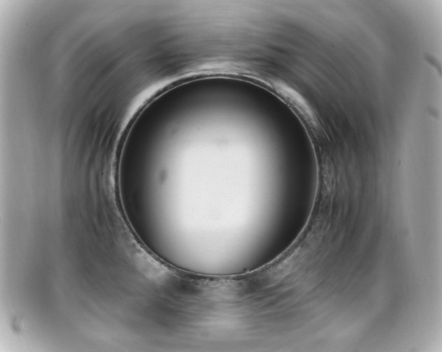 X0000099401288200805081526