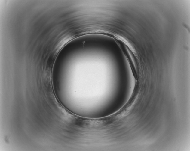 X0000099401289200805081525