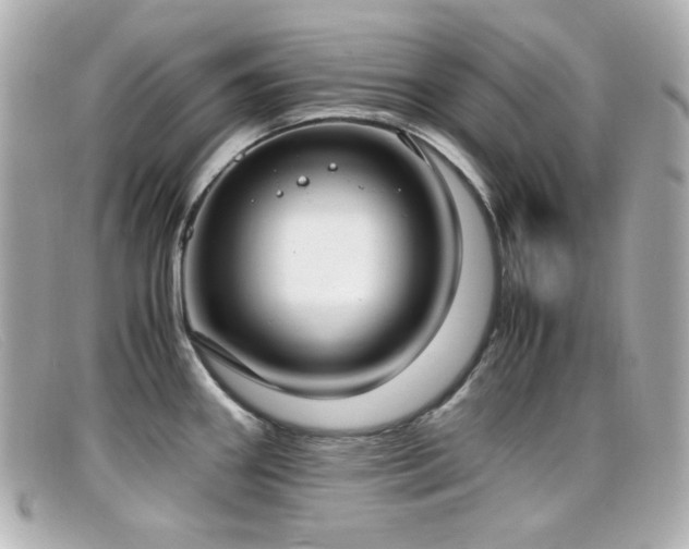 X0000099401290200805081525