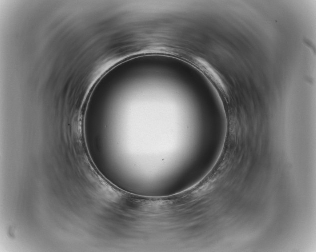 X0000099401292200805081525