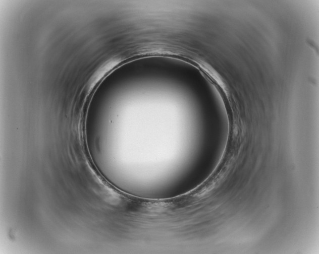 X0000099401293200805081525