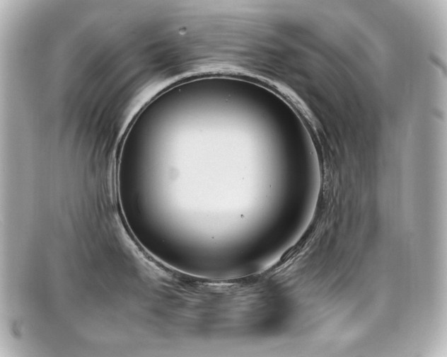 X0000099401295200805081525