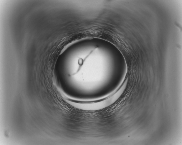 X0000099401297200805081525