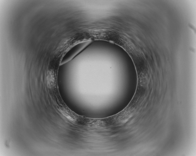 X0000099401298200805081525