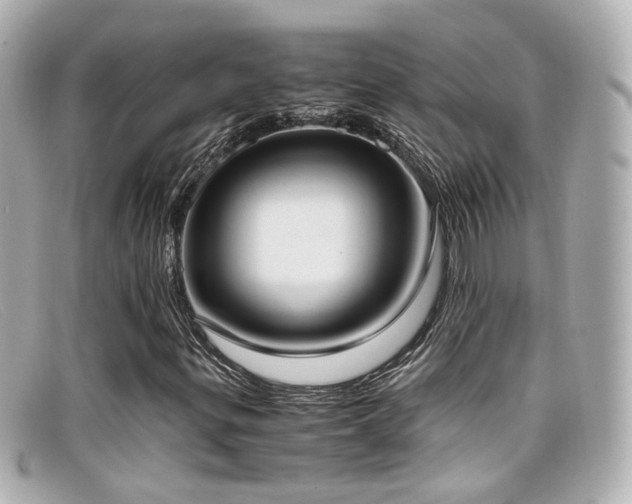 X0000099401299200805081525